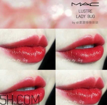 mac lady bug好看嗎？lady bug試色