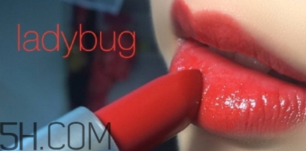 mac lady bug掉色嗎？mac ladybug真假辨別