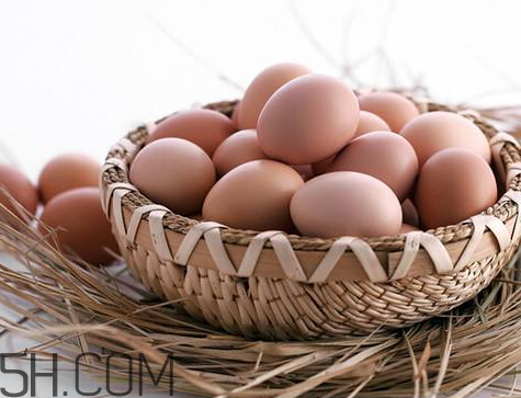 土雞蛋可以放多久 土雞蛋可以放冰箱嗎 土雞蛋可以放多久 土雞蛋可以放冰箱嗎