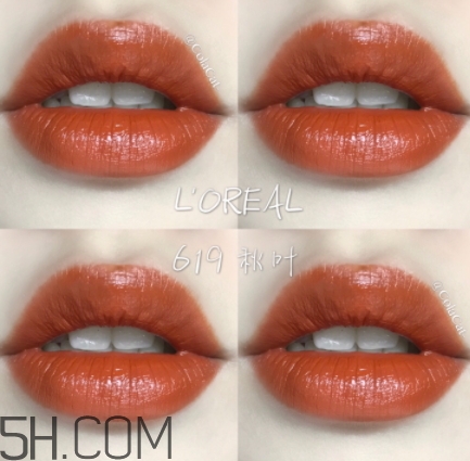 歐萊雅619秋葉試色 歐萊雅金管619好看嗎？