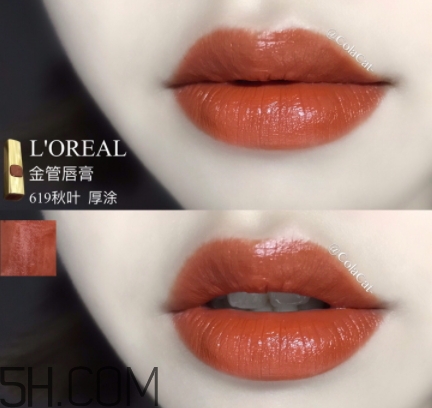 歐萊雅619秋葉試色 歐萊雅金管619好看嗎？