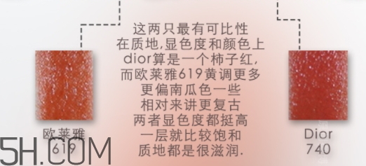 歐萊雅619和迪奧740像嗎？歐萊雅619秋葉和迪奧740對比