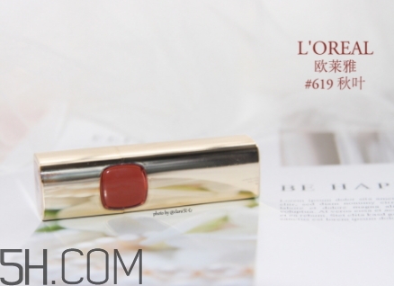 歐萊雅619和迪奧740像嗎？歐萊雅619秋葉和迪奧740對比