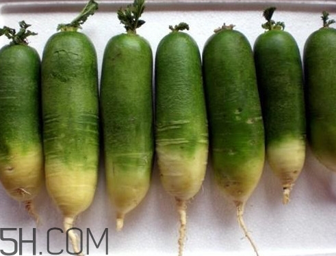 濰縣蘿卜什么時候上市？山東濰縣蘿卜怎么吃