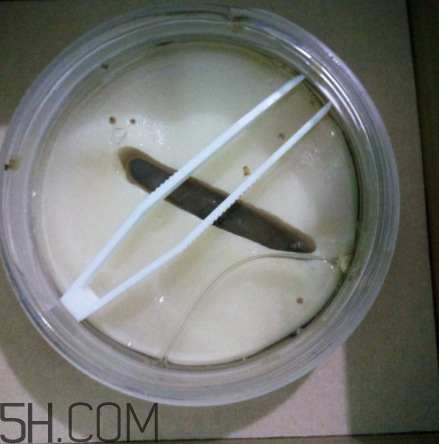 膜法世家金桂花眼膜怎么樣？膜法世家金桂花眼膜好用嗎？