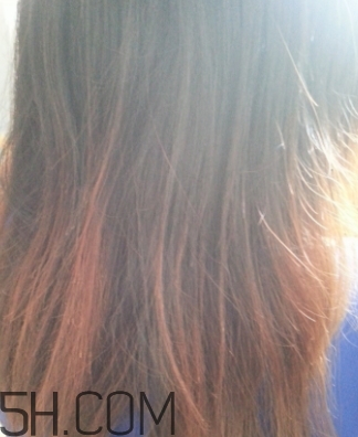 dongtian東田是什么牌子？dongtian東田是哪國的什么檔次