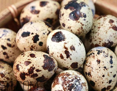 鵪鶉蛋為什么有斑點(diǎn) 鵪鶉蛋上的斑點(diǎn)能吃嗎 鵪鶉蛋為什么有斑點(diǎn) 鵪鶉蛋上的斑點(diǎn)能吃嗎