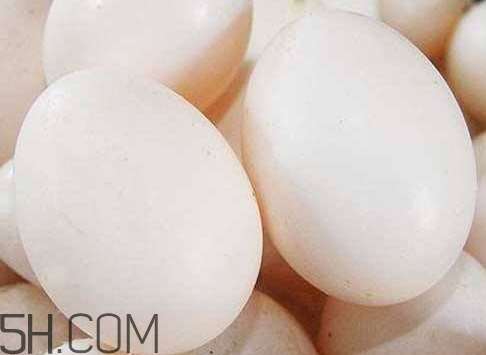 鴿子蛋黑了怎么回事 鴿子蛋變綠了怎么回事 鴿子蛋黑了怎么回事 鴿子蛋變綠了怎么回事