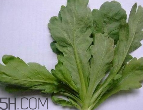 茼蒿為什么炒了是苦的 茼蒿苦能吃嗎 茼蒿為什么炒了是苦的 茼蒿苦能吃嗎