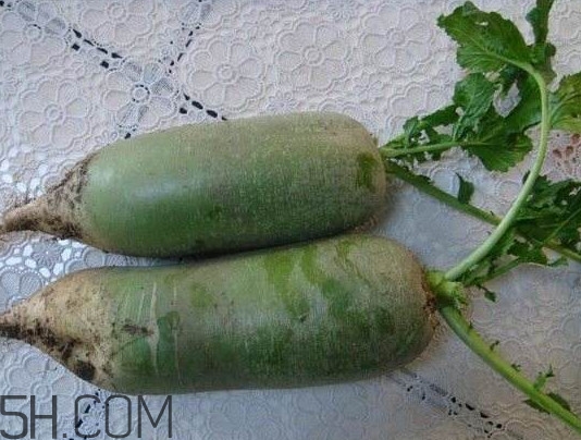 如何鑒別真假沙窩蘿卜？沙窩蘿卜怎么區(qū)分好壞