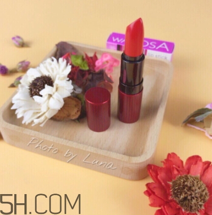 草莓紅口紅哪個牌子好？草莓紅口紅推薦