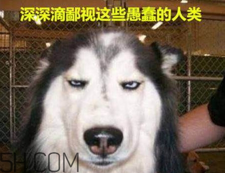 女生說(shuō)我醉了什么意思？女生說(shuō)喝多了怎么回復(fù)