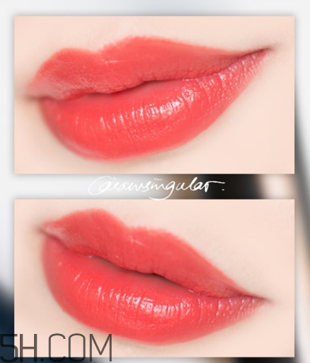 紀(jì)梵希小羊皮304是什么顏色？紀(jì)梵希小羊皮滋潤(rùn)嗎？