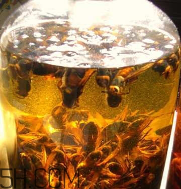 喝什么藥酒可以補腎壯陽？補腎壯陽藥酒什么時候喝好？