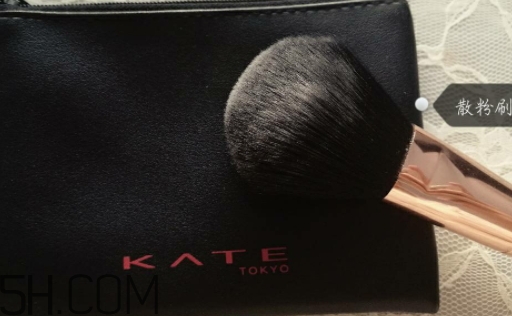 zoreya化妝刷好用嗎？zoreya是哪國的牌子