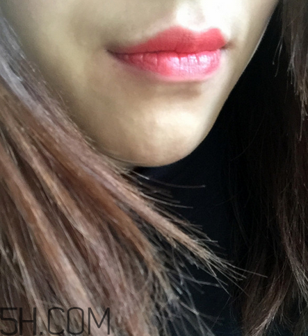 紀(jì)梵希小羊皮304是什么顏色？紀(jì)梵希小羊皮滋潤(rùn)嗎？