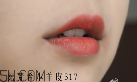 紀(jì)梵希304是西柚色嗎？紀(jì)梵希小羊皮304和317哪個(gè)好看？