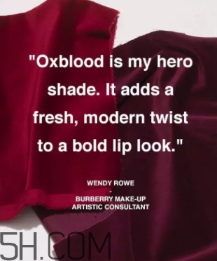 牛血色口紅哪個(gè)牌子好？牛血紅口紅推薦