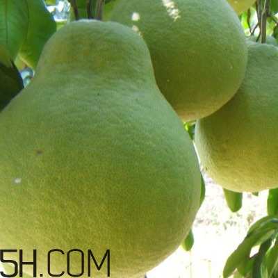 吃柚子頭暈怎么回事？吃柚子頭暈怎么辦？