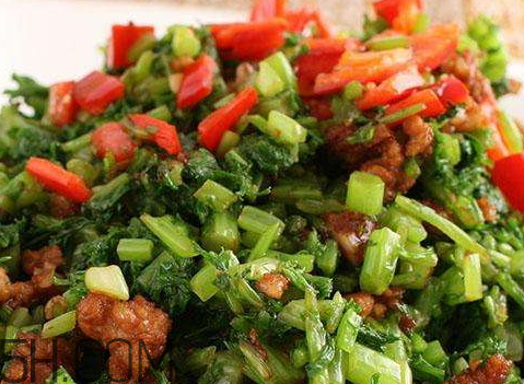 十斤雪里紅放多少鹽 10斤雪里紅放多少鹽 十斤雪里紅放多少鹽 10斤雪里紅放多少鹽