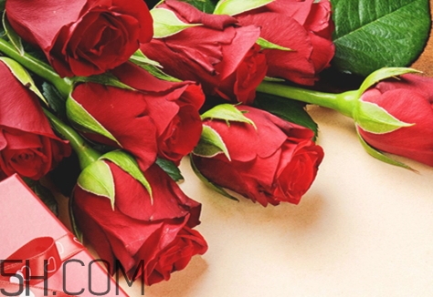 女生說(shuō)so是什么意思？女生說(shuō)so該怎么回答