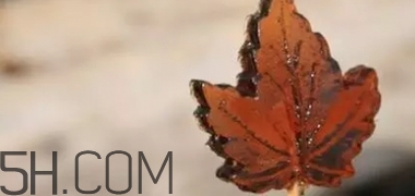 楓糖色口紅是什么顏色？楓糖色口紅試色