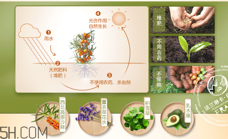 法蘭琳卡透亮保濕霜 法蘭琳卡透亮保濕霜