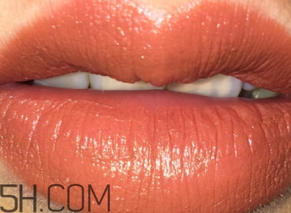 枯葉色是什么顏色？枯葉色口紅試色