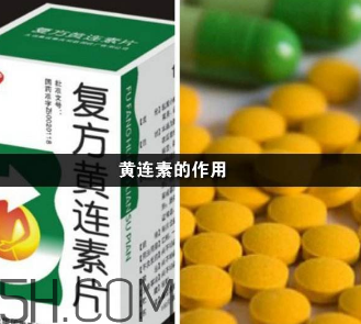 黃連素能降血糖嗎？黃連素能經常吃嗎？