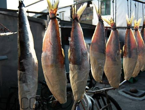 怎么曬咸魚不招蒼蠅 曬咸魚怎樣不招蒼蠅 怎么曬咸魚不招蒼蠅 曬咸魚怎樣不招蒼蠅