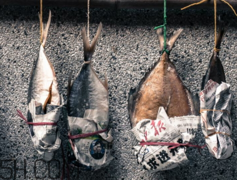 怎么曬咸魚不招蒼蠅 曬咸魚怎樣不招蒼蠅 怎么曬咸魚不招蒼蠅 曬咸魚怎樣不招蒼蠅