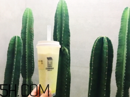 臟臟包哪里買(mǎi)？網(wǎng)紅巧克力臟臟包店鋪地址