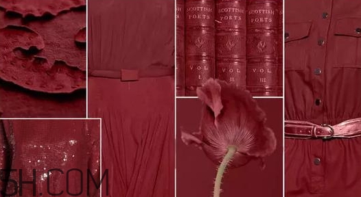 勃艮第紅口紅適合什么膚色？勃艮第色適合黃皮嗎？