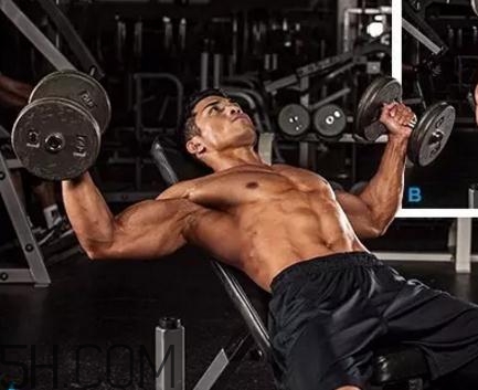 啞鈴飛鳥用多重的啞鈴？啞鈴飛鳥怎么呼吸？