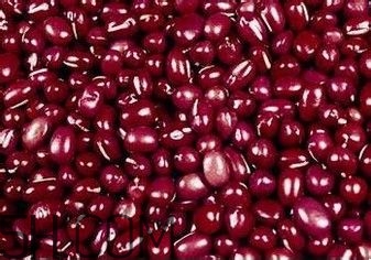 喝咖啡拉肚子怎么回事？喝咖啡拉肚子怎么辦？