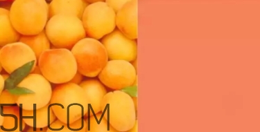 奶油杏是什么顏色？奶油杏色口紅試色