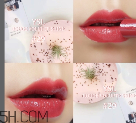 ysl圓管29試色 ysl圓管29號豆沙色 ysl圓管29試色 ysl圓管29號豆沙色