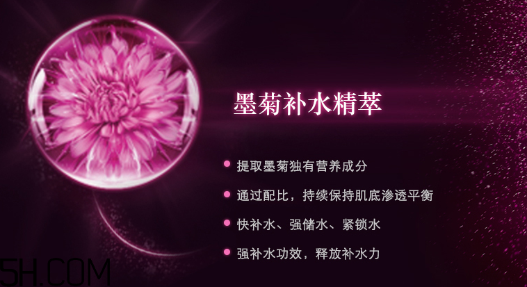 韓束墨菊精粹深度補水精華素 韓束墨菊精粹深度補水精華素