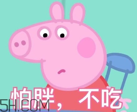 豬精女孩健康養(yǎng)生指南有哪些？豬精女孩健康養(yǎng)生指南是什么？