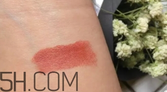 mac mocha和brick哪個(gè)好看？mac mocha和brick試色對(duì)比