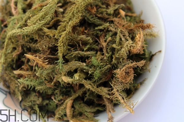 什么是伸筋草？伸筋草的功效與作用是什么？