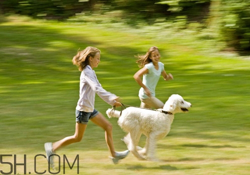 夜跑減肥的正確方法有哪些？冬天夜跑應(yīng)該怎么跑才能減肥？