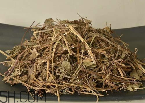 什么是透骨草？透骨草的功效與作用是什么？