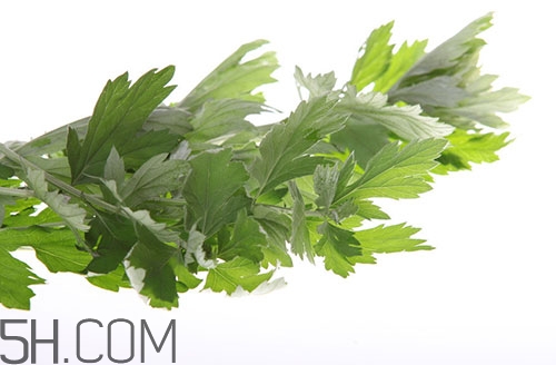 艾葉草洗澡有什么好處？怎么挑選艾葉草？