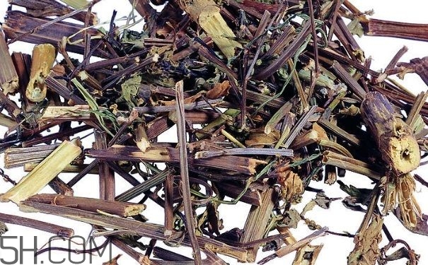 艾葉草洗澡有什么好處？怎么挑選艾葉草？