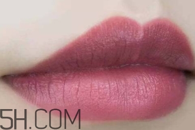 mac twig和brick o la一樣嗎？mac twig和brick o la試色對比