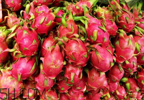 火龍果是熱性還是涼性？哪些人不適合吃火龍果？