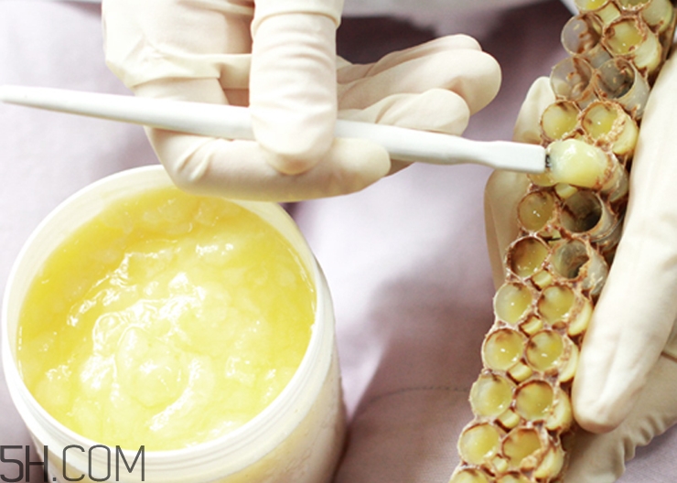 糖尿病人可以吃蜂王漿嗎？蜂王漿有什么功效與作用？