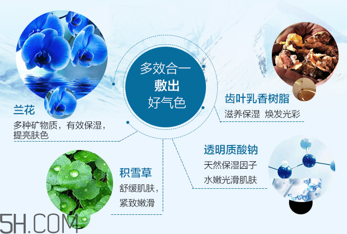 植物醫(yī)生蘭花潤(rùn)顏面膜 植物醫(yī)生蘭花潤(rùn)顏面膜