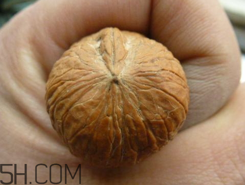 一個核桃的熱量是多少 一個核桃的卡路里 一個核桃的熱量是多少 一個核桃的卡路里